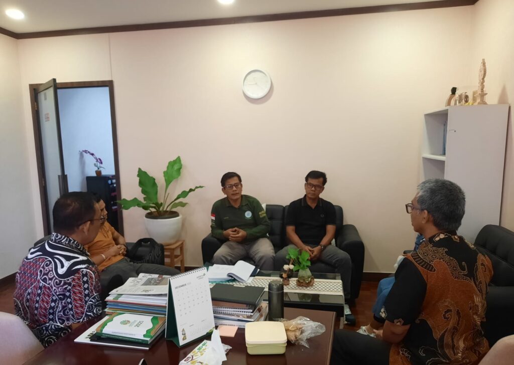 WhatsApp Image 2025-12-19 at 12.49.17